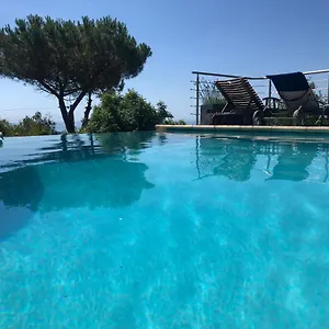 Guest house 